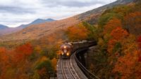 train moving through trees