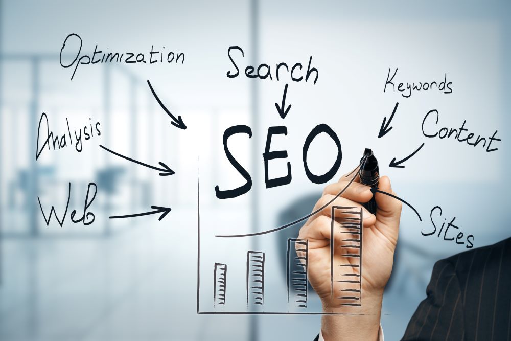 SEO Insights & Next Steps