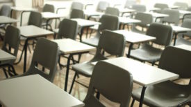 rows of gray desks